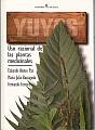Yuyos: uso racional de plantas medicinales