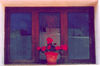 Reflejos