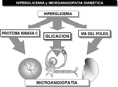 Figura 1