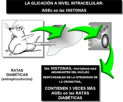 Figura 8