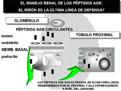 Figura 9