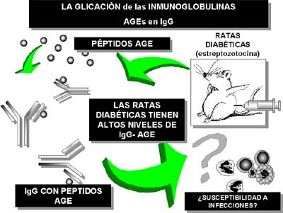 Figura 10