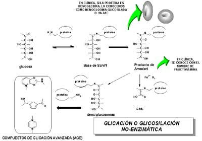 Figura 2
