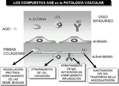 Figura 3
