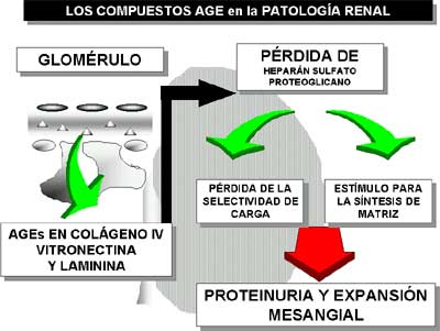 Figura 4
