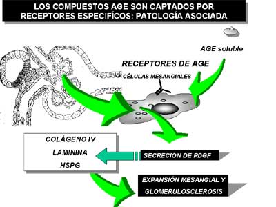Figura 6