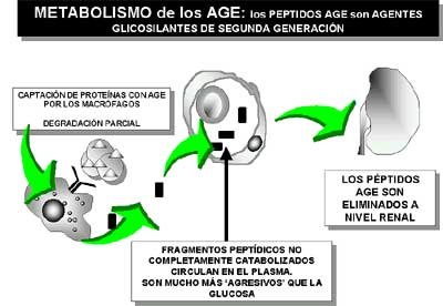 Figura 7