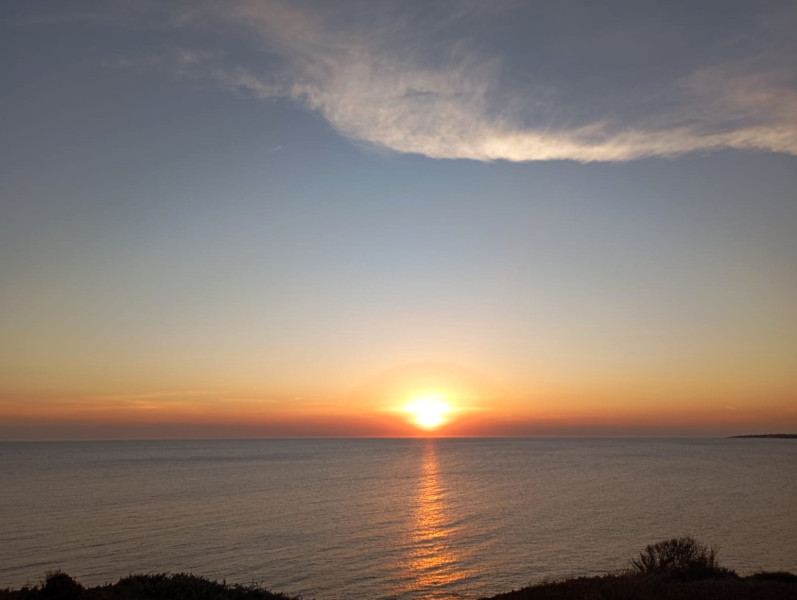 WhaALCIONt-7.14.50-PM