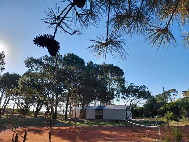 WhatsApp-Image-2026-01-14-at2-PM