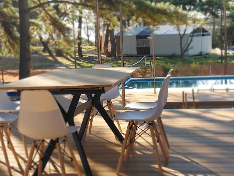 WhatsApp-Image-20264-at-7.14.43-PM