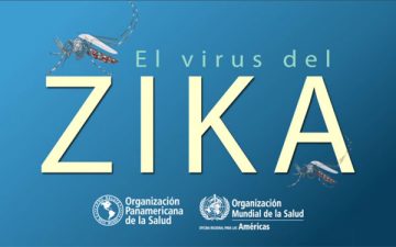 Infección por el virus Zika