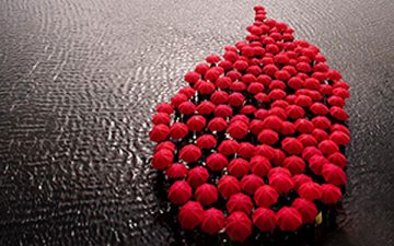 14 de junio: Día mundial del donante de sangre.