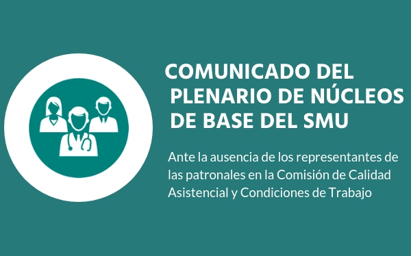 Plenario de Núcleos de Base del SMU «repudia desinterés por parte de las empresas en mejorar la calidad asistencial y condiciones de trabajo»