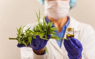 Estudio sobre Cannabis medicinal invita a médicos a completar encuesta sobre percepciones y opiniones sobre la temática.