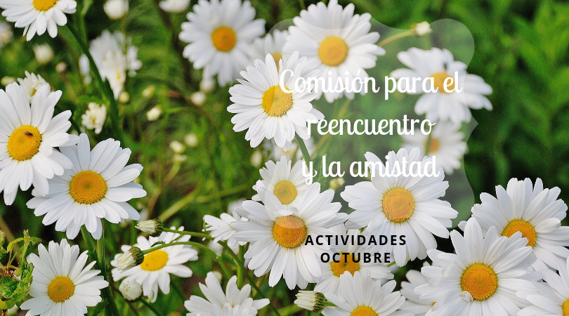 Actividades de la Comisión para el Reencuentro y la Amistad para el mes de octubre.