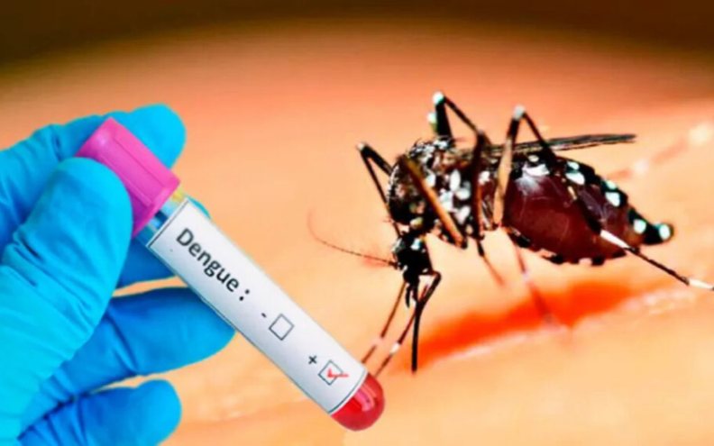 jornada manejo casos dengue primer nivel