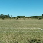 ELECCIONES CAMPO DEPORTIVO