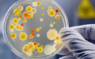Jornada Científica: «Perspectivas y nuevas fronteras en la atención de la infección avanzada por VIH en la era ‘indetectable = intransmisible’»