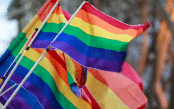 Solicitud de colaboración para apoyar la Marcha por la Diversidad