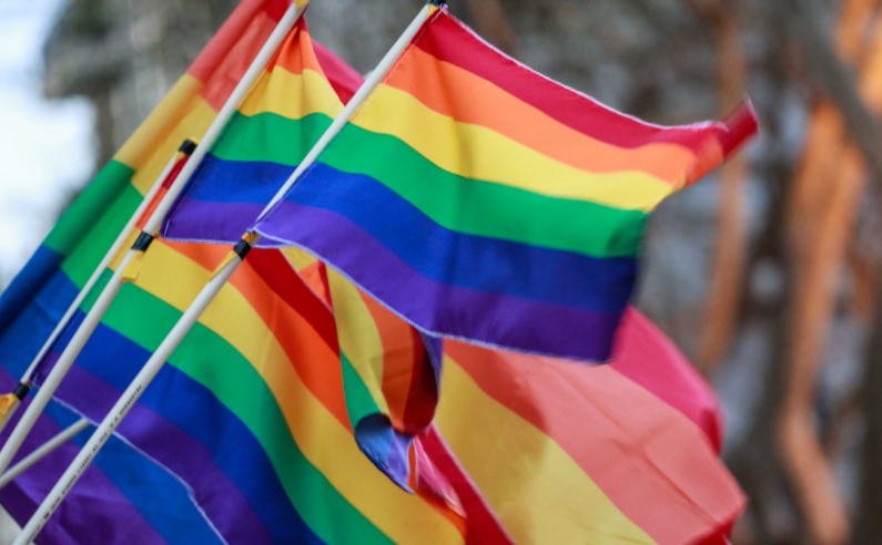 Solicitud de colaboración para apoyar la Marcha por la Diversidad