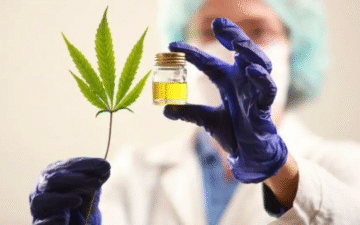 Ciclo de charlas educativas sobre cannabis medicinal y terapéutico