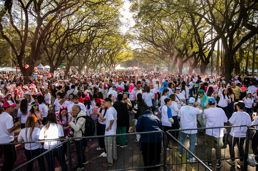 Me recibí, ¿y ahora? 2025: información clave para comenzar a ejercer la medicina