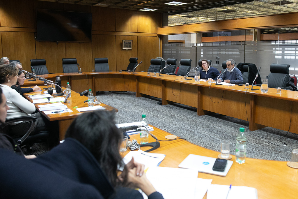 El SMU compareció ante el Senado por la Rendición de Cuentas
