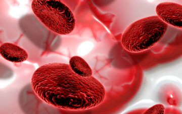 Jornadas de actualización en hematología