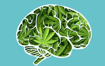 Conferencia «Neurobiología de los endocannabinoides»